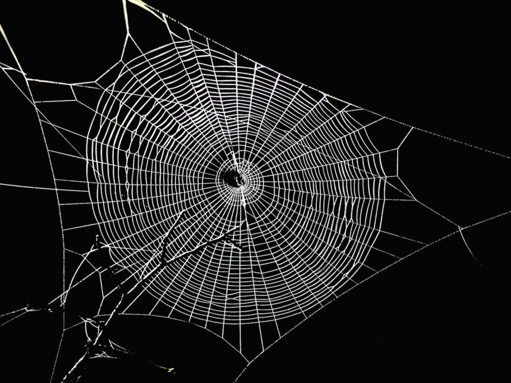 Botanix Labs' Mission to Bring Bitcoin to Defi Moves to Final Testnet Phase