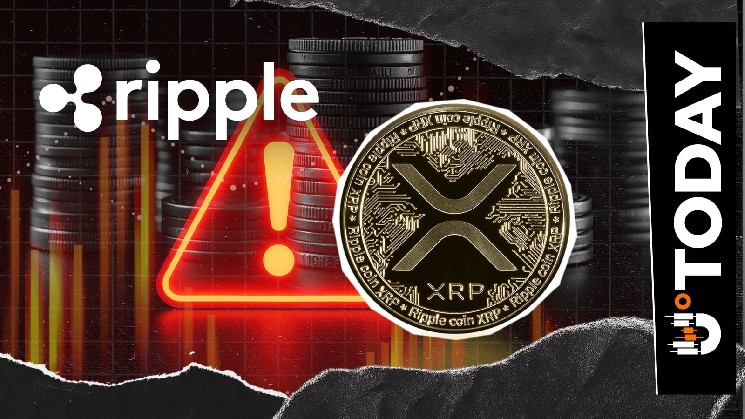 XRPL Developer Repeats Crucial Warning to XRP Community