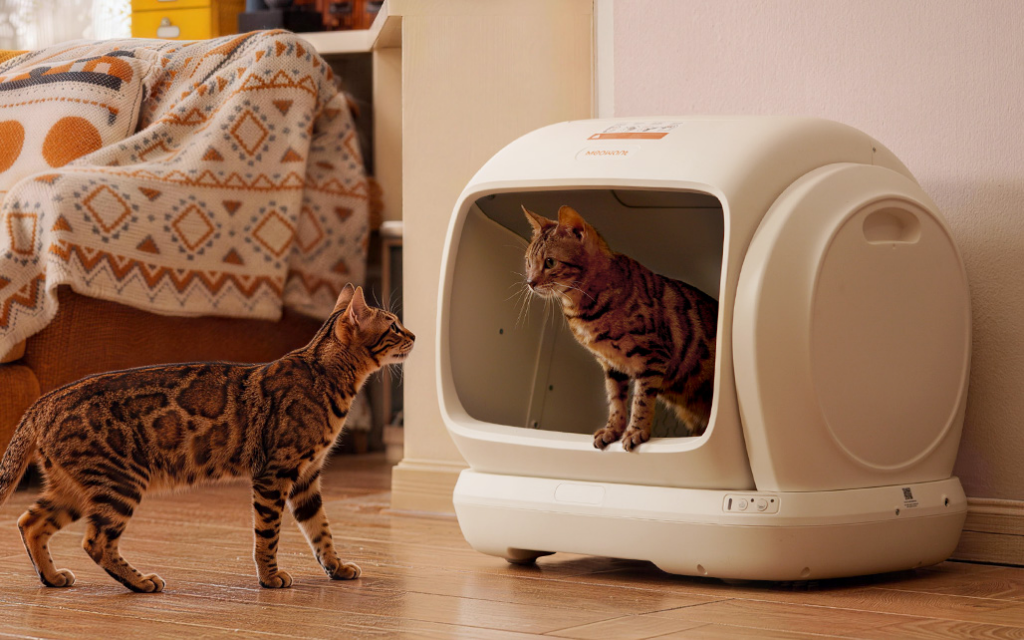 Meowant Introduces MW-SC09 Self-Cleaning Cat Litter Box for Larger Cats and Multi-Cat Homes