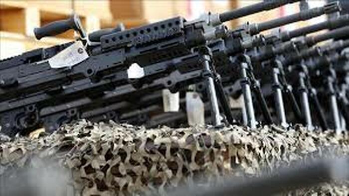 NATO Country Halts Arms To Ukraine Under New Eurosceptic Prime Minister